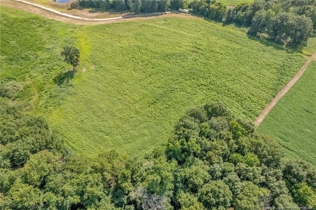 Photo 5 - 00 Laia Hills (Lot 4) Road, Siler City, NC 27344