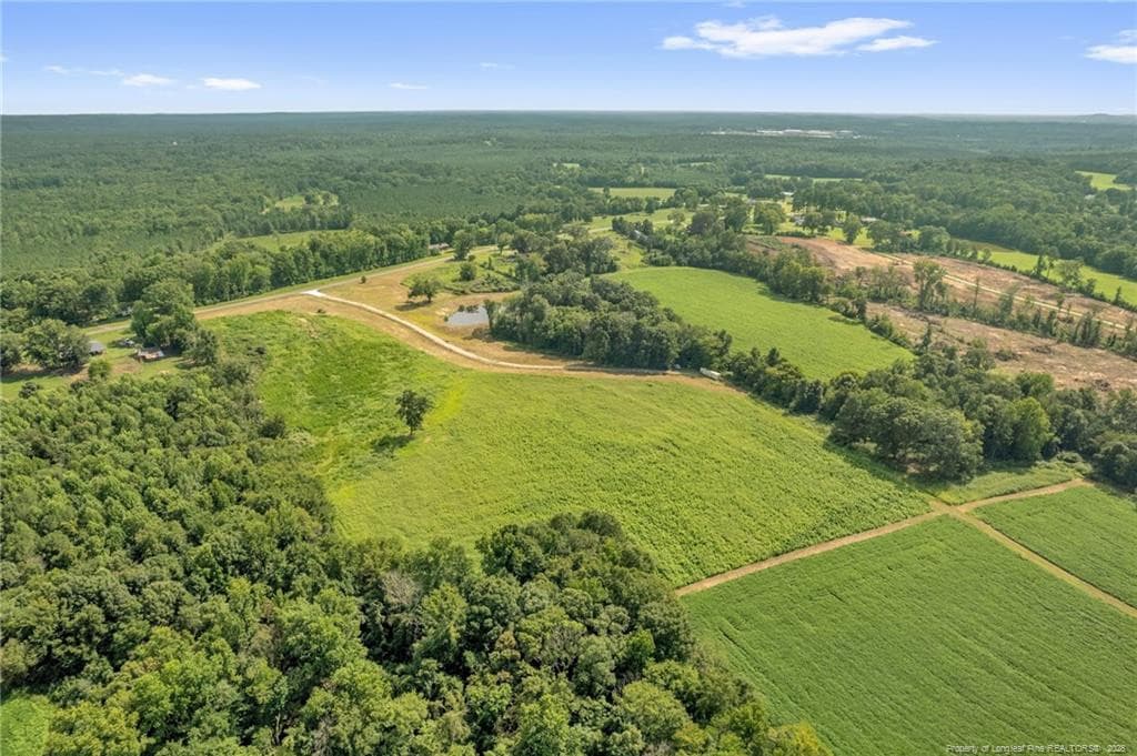 Photo 13 - 00 Laia Hills (Lot 4) Road, Siler City, NC 27344