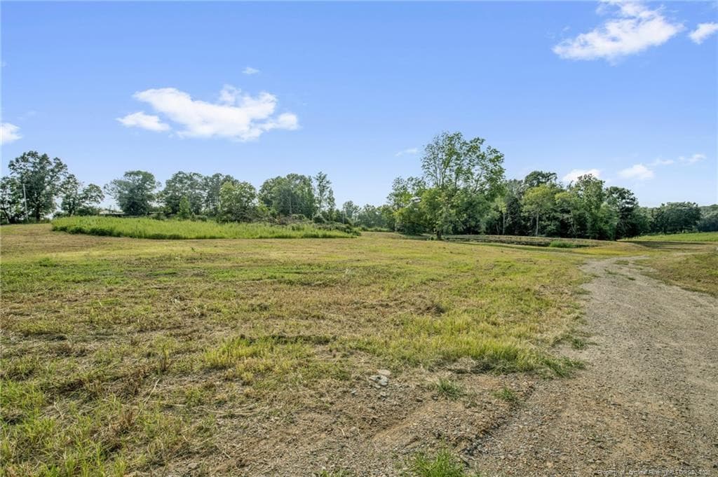Photo 14 - 00 Laia Hills (Lot 4) Road, Siler City, NC 27344
