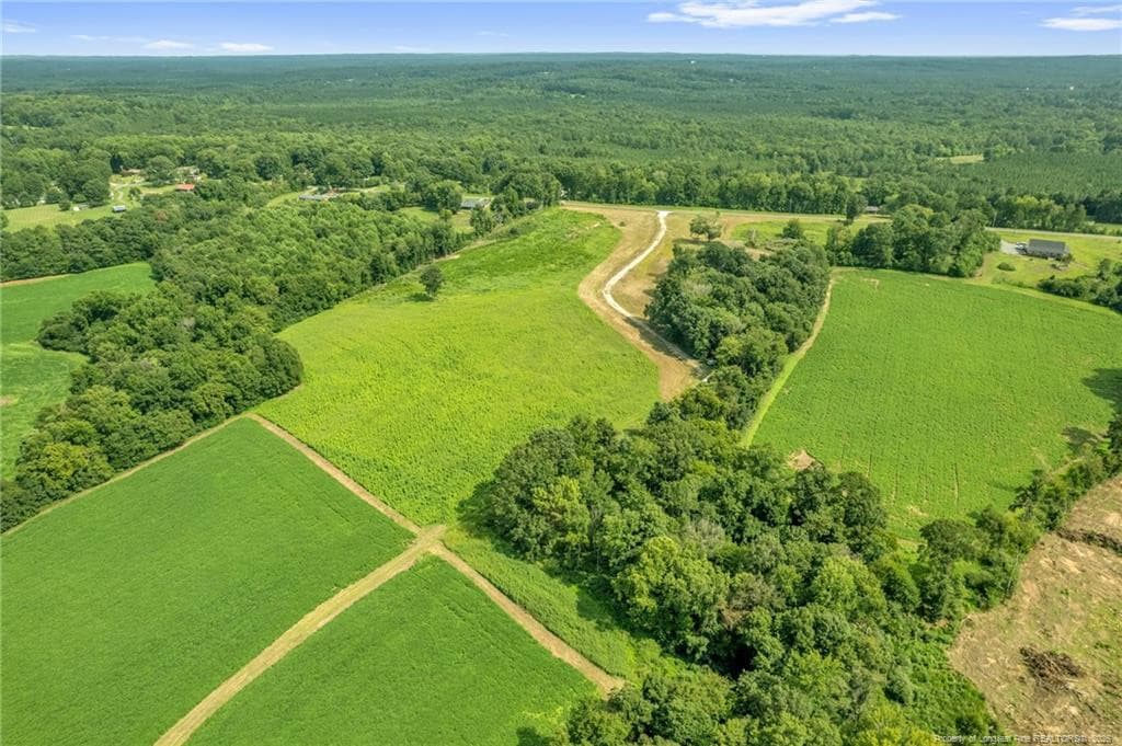 Photo 16 - 00 Laia Hills (Lot 4) Road, Siler City, NC 27344