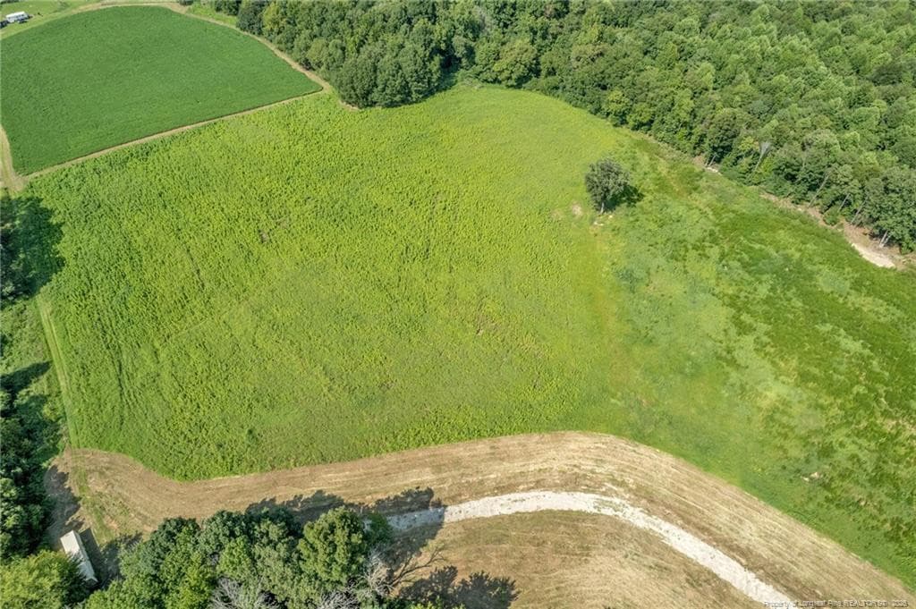 Photo 17 - 00 Laia Hills (Lot 4) Road, Siler City, NC 27344