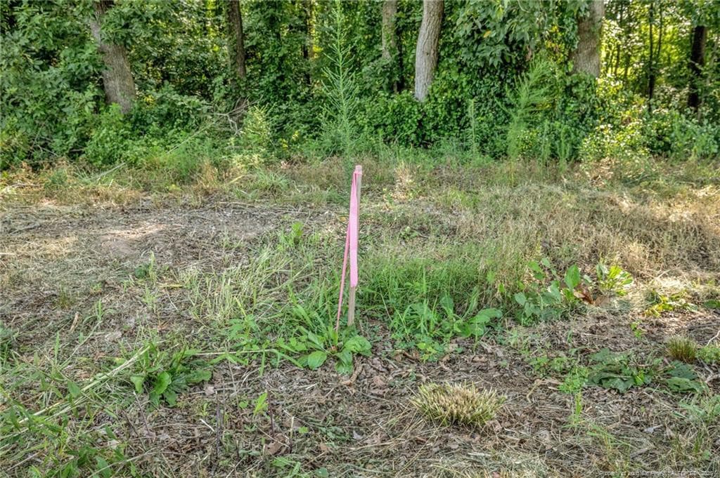 Photo 18 - 00 Laia Hills (Lot 4) Road, Siler City, NC 27344