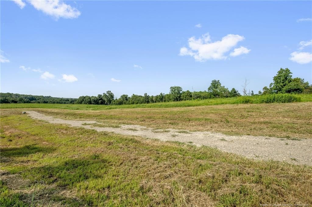 Photo 19 - 00 Laia Hills (Lot 4) Road, Siler City, NC 27344