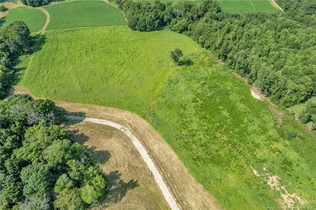Photo 21 - 00 Laia Hills (Lot 4) Road, Siler City, NC 27344