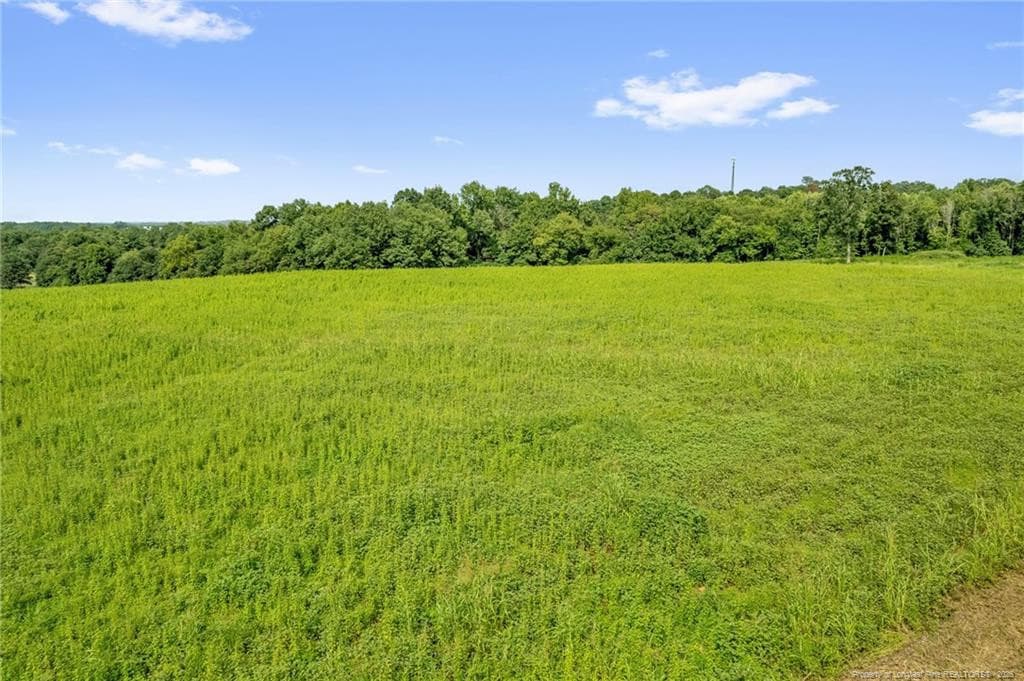 Photo 22 - 00 Laia Hills (Lot 4) Road, Siler City, NC 27344
