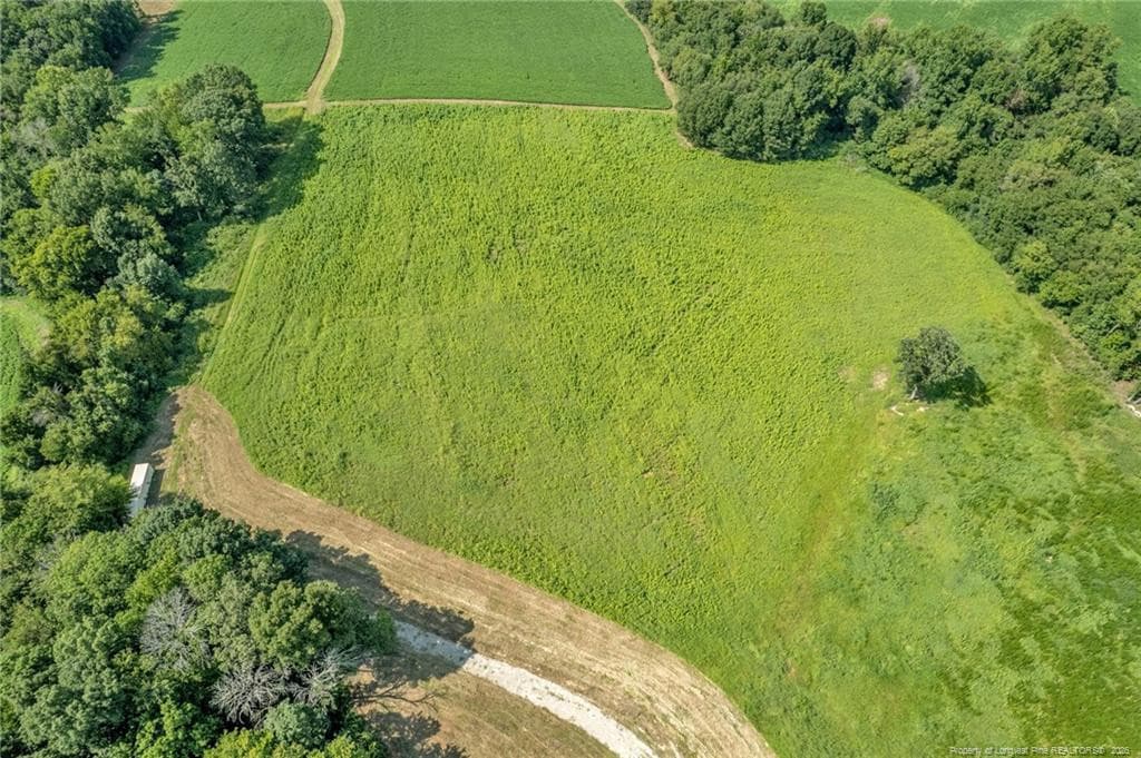 Photo 24 - 00 Laia Hills (Lot 4) Road, Siler City, NC 27344