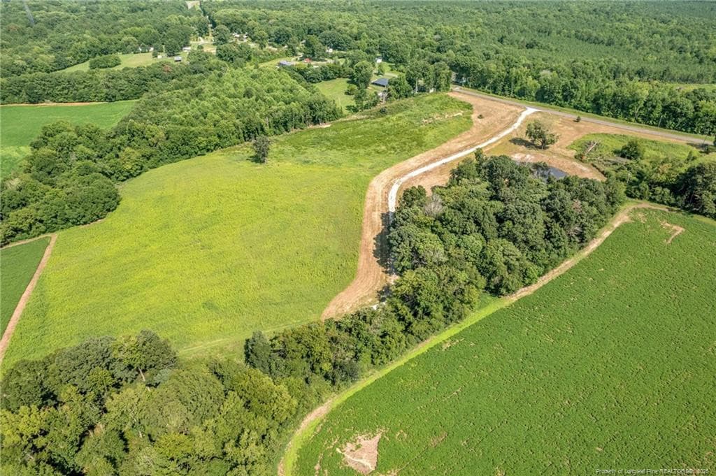 Photo 25 - 00 Laia Hills (Lot 4) Road, Siler City, NC 27344