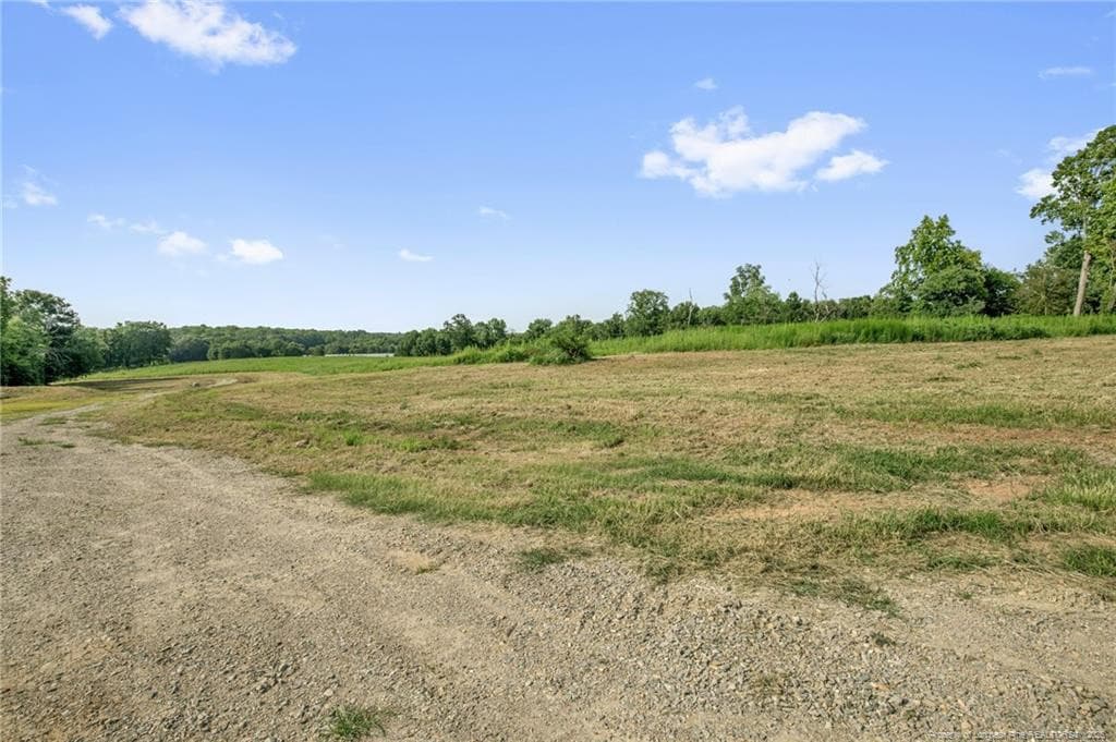 Photo 27 - 00 Laia Hills (Lot 4) Road, Siler City, NC 27344
