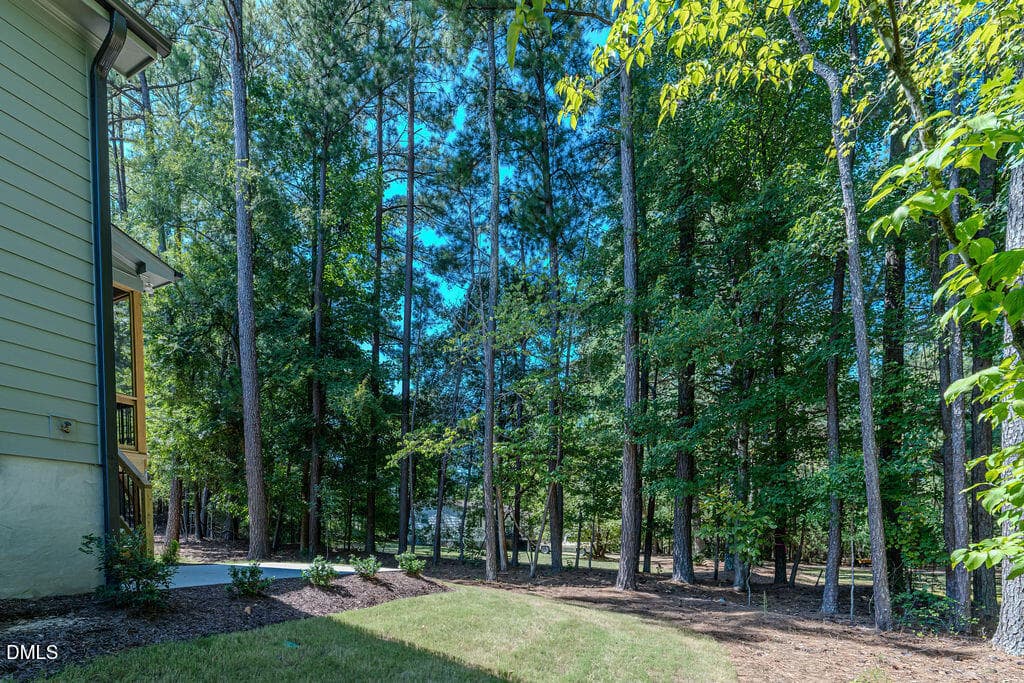 DSC03356-clover - 1025 Smoke Willow Way, Rolesville, NC 27571, Rolesville