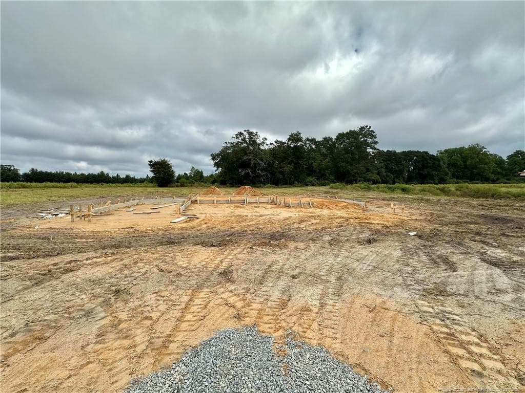 206 Rolands Ridge (Lot 9) Road, Autryville, NC 28318