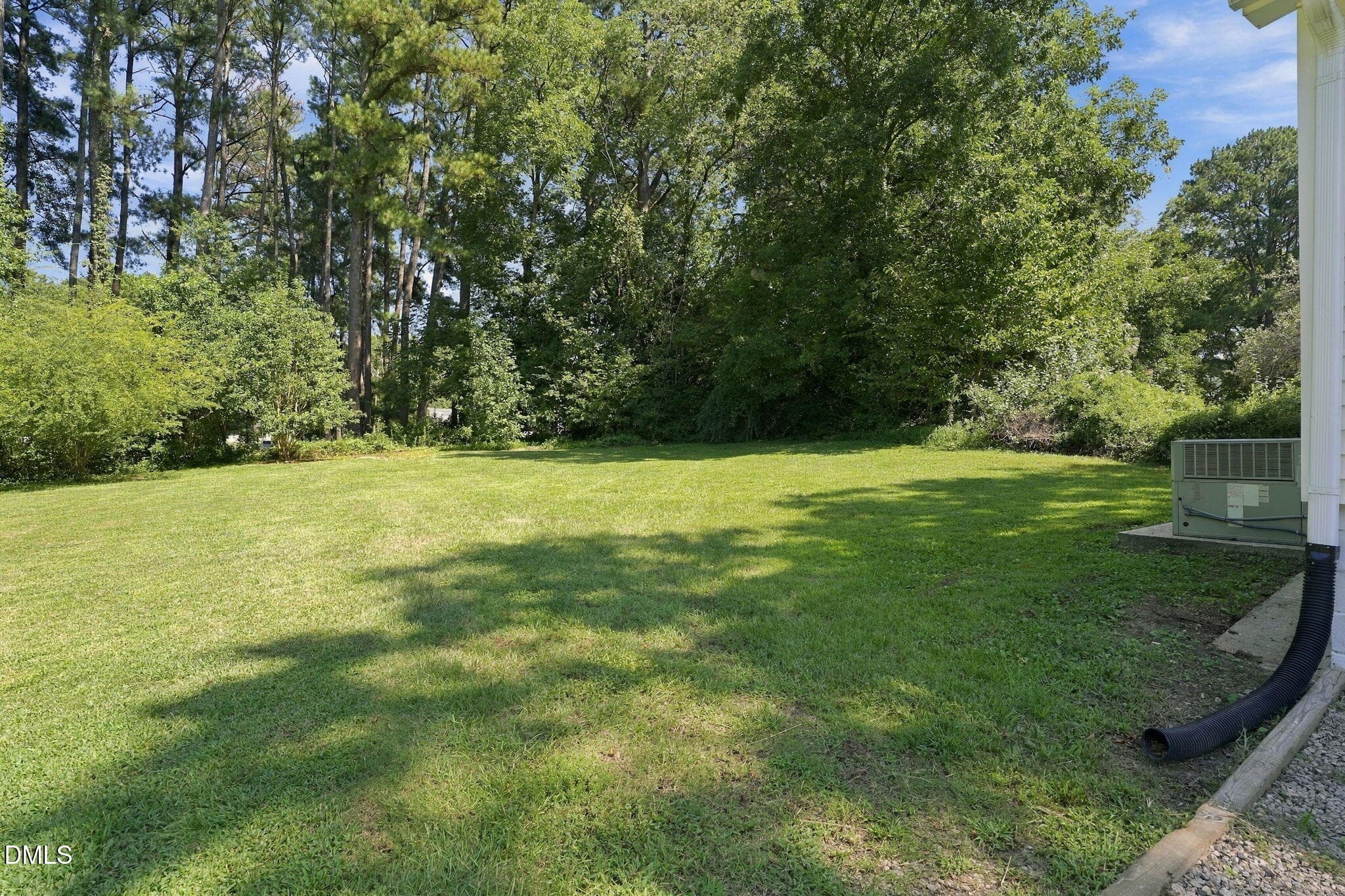 45-web-or-mls-DSC02856 - 314 N Pine Street, Spring Hope, NC 27882, Spring Hope