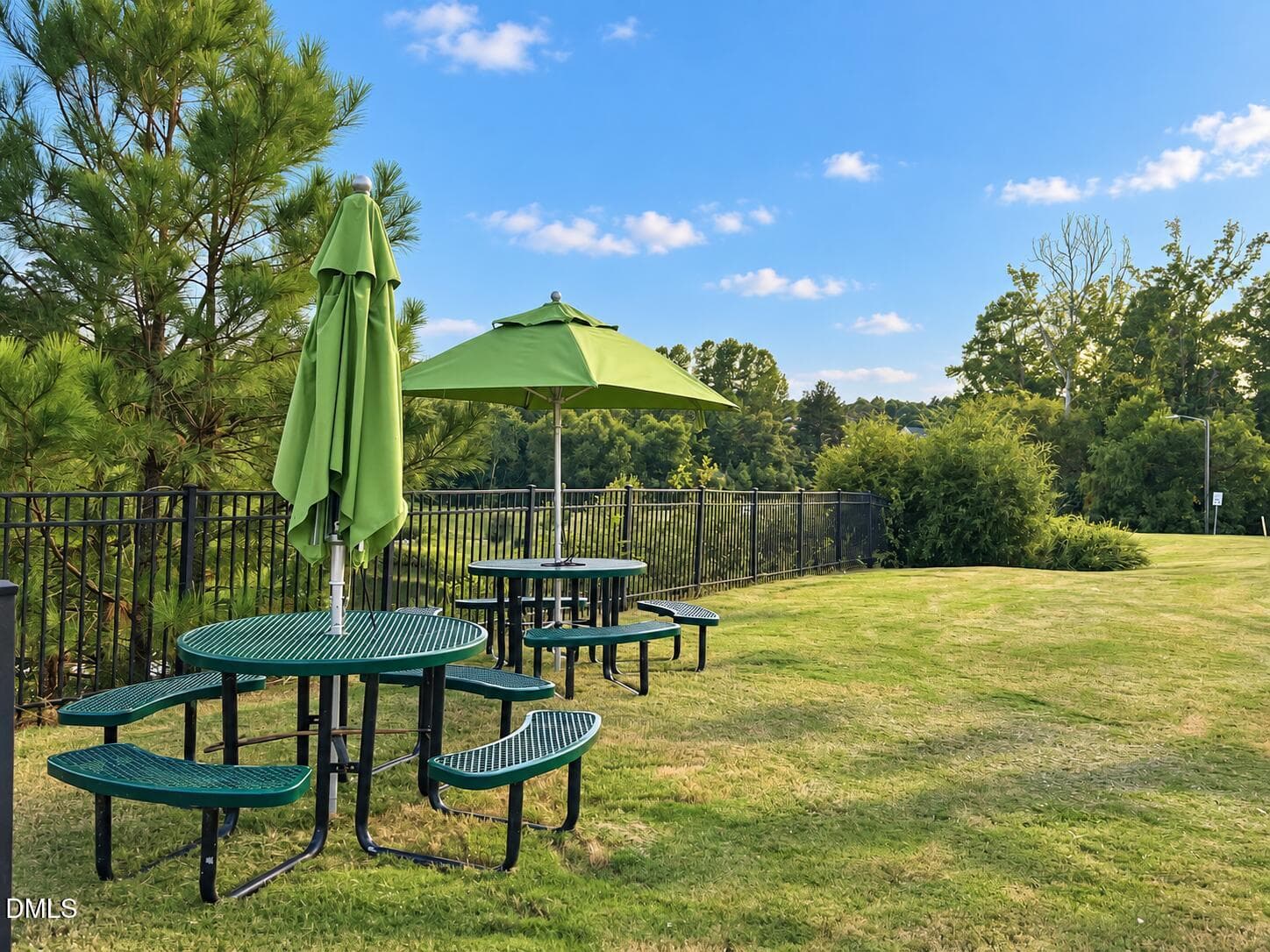 picnic - 623 Hiddenbrook Drive, Durham, NC 27703