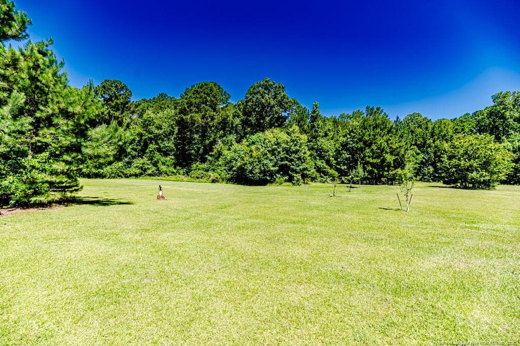 Add'l Backyard View - 10110 NC 27 Highway W, Lillington, NC 27546