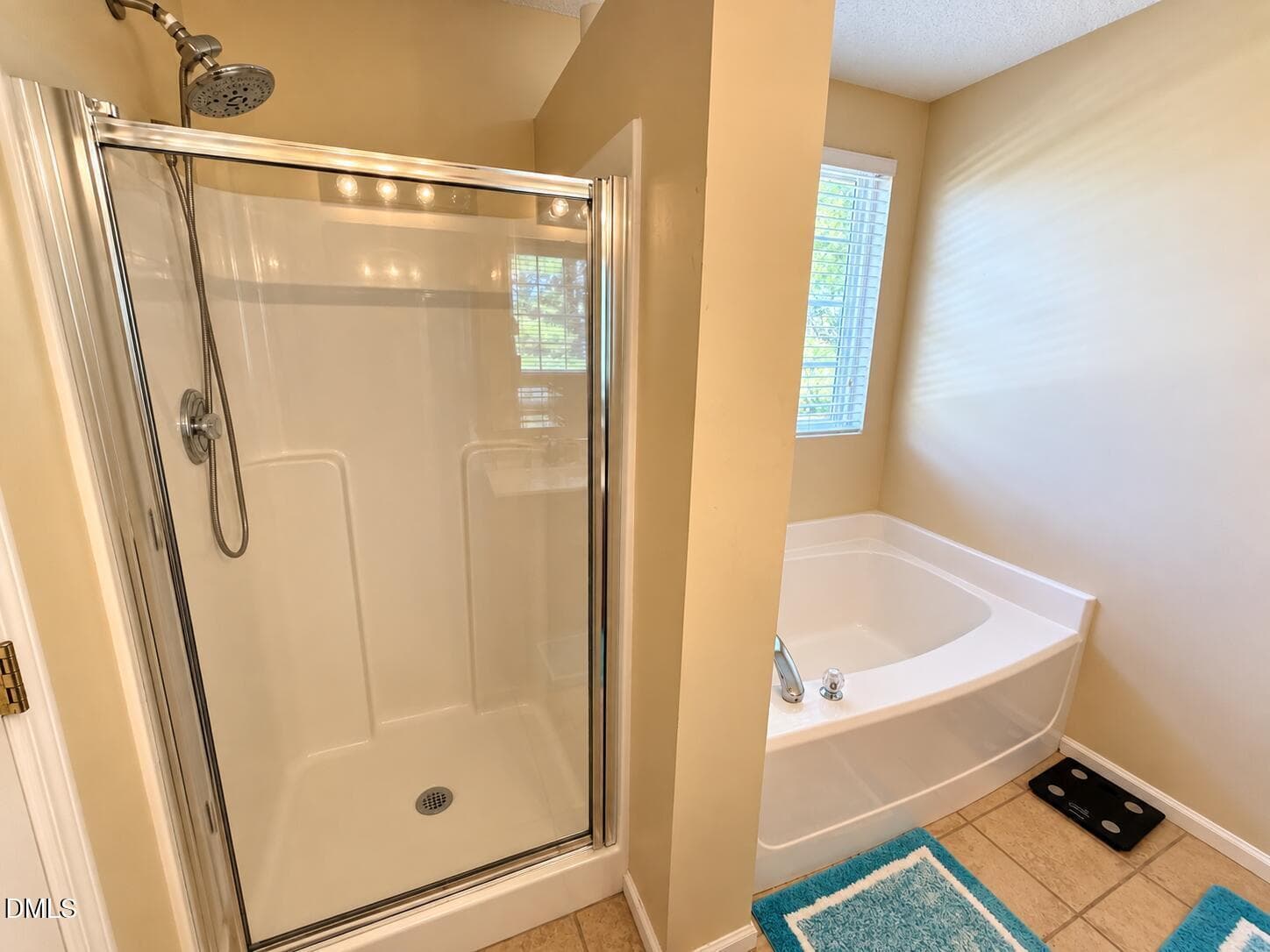 23_beyc6aa829efe69fd - 4912 Alenja Lane, Raleigh, NC 27616