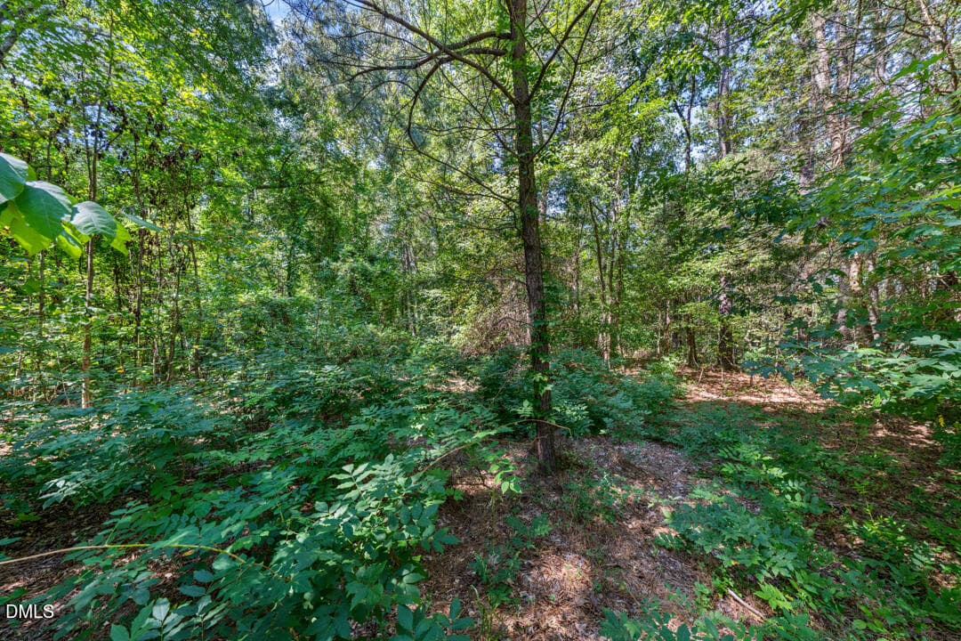 DSC06136 - 1028 Lynn Road, Durham, NC 27703