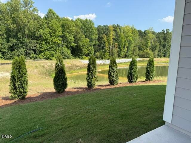 Landscape buffer - 86 Carteret Court, Clayton, NC 27527