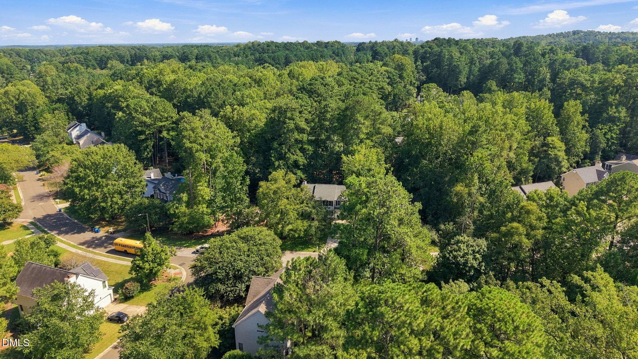 wilderness overhead very wooded - 3118 Wilderness Road, Durham, NC 27712