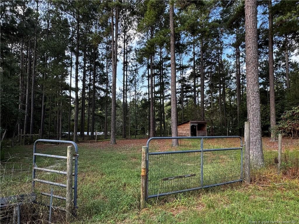 Goats or chickens? - 265 Dewey Drive, Vass, NC 28315