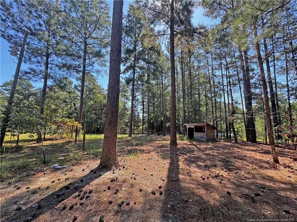 Photo 43 - 265 Dewey Drive, Vass, NC 28315