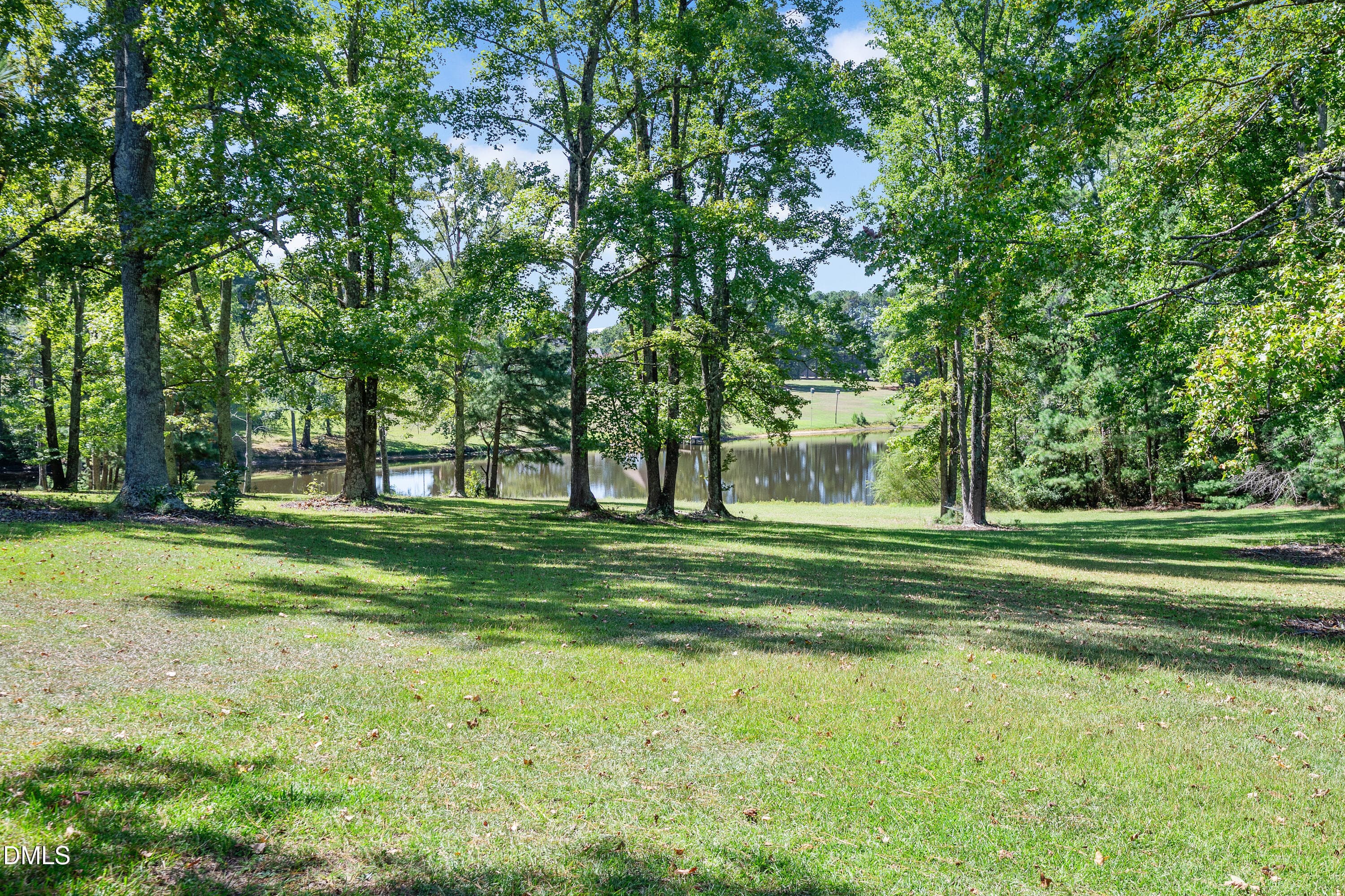 285 Wheeler Drive_0926-43 - 285 Wheeler Drive, Angier, NC 27501