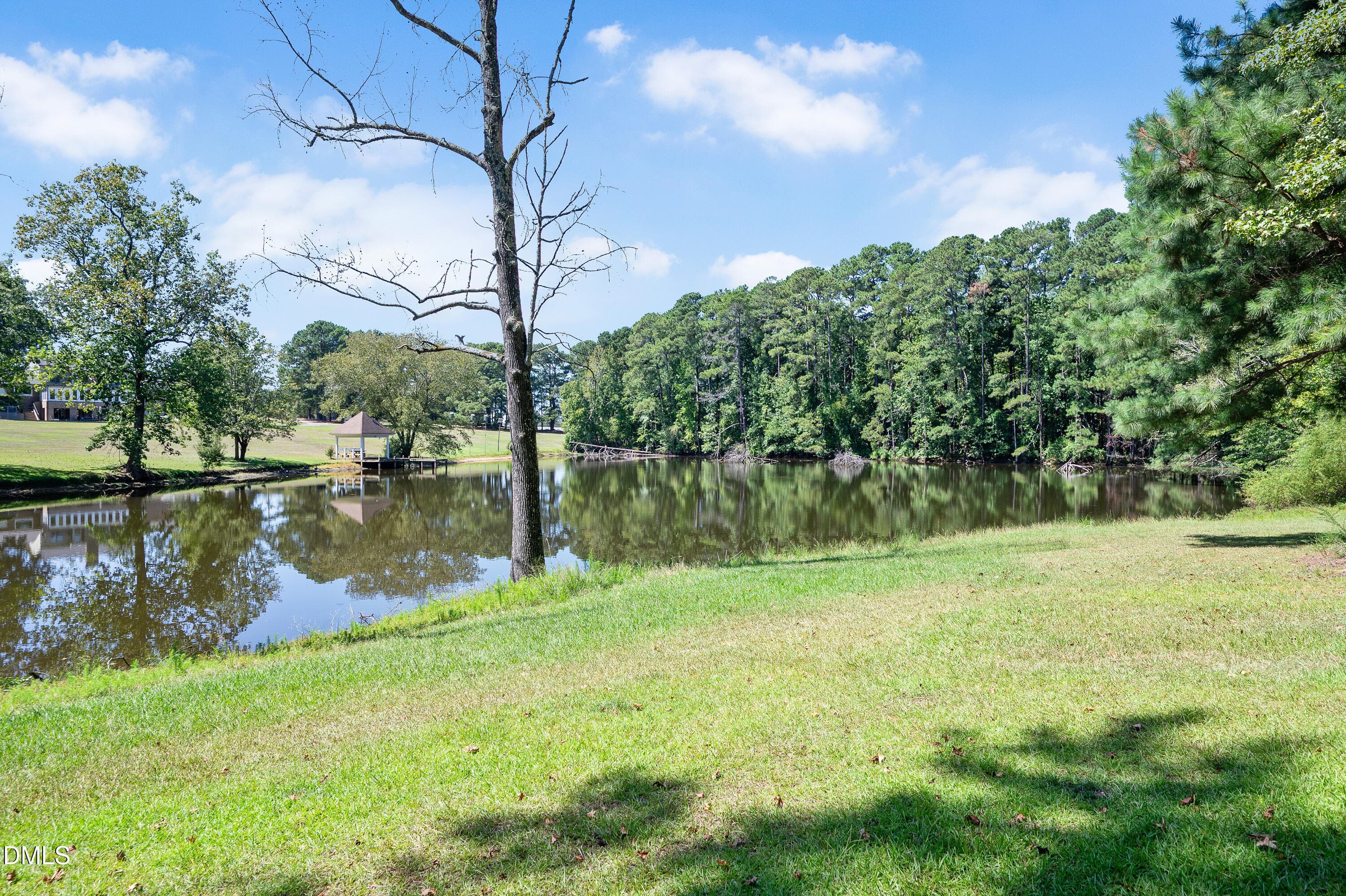 285 Wheeler Drive_0926-44 - 285 Wheeler Drive, Angier, NC 27501