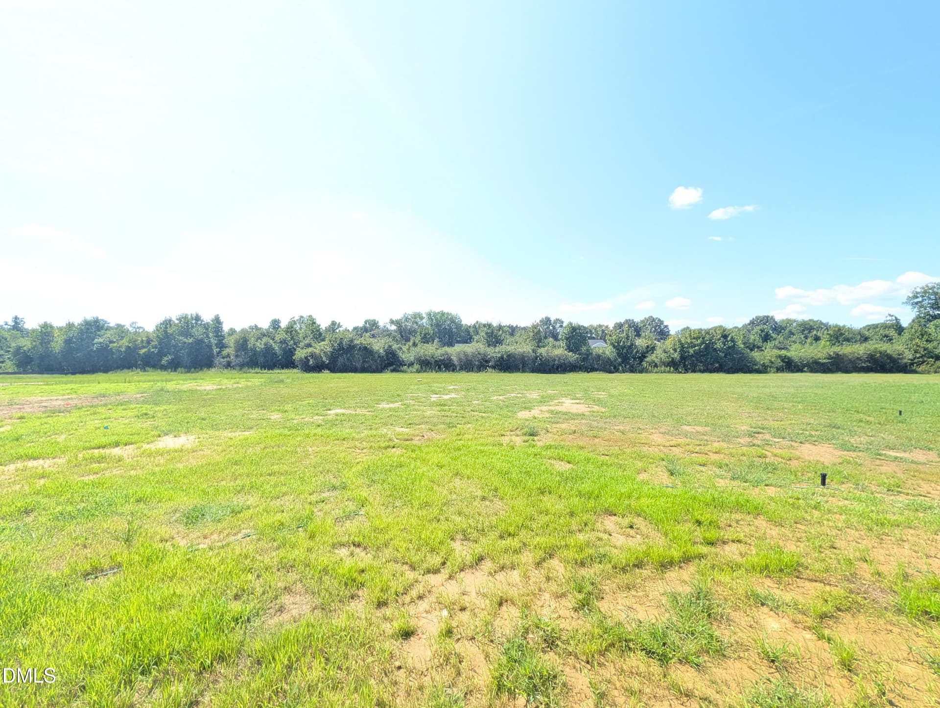 Backyard - 170 Thomas Trail 58, Lillington, NC 27546
