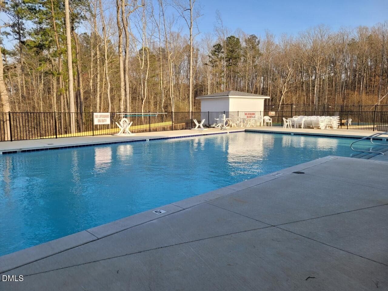 HL pool area 2-22 - 40 Ivy Ridge Way, Youngsville, NC 27596