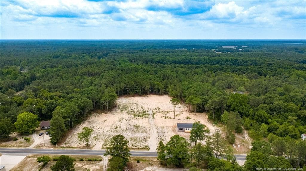 Photo 34 - 17260 Palmer Road, Marston, NC 28363