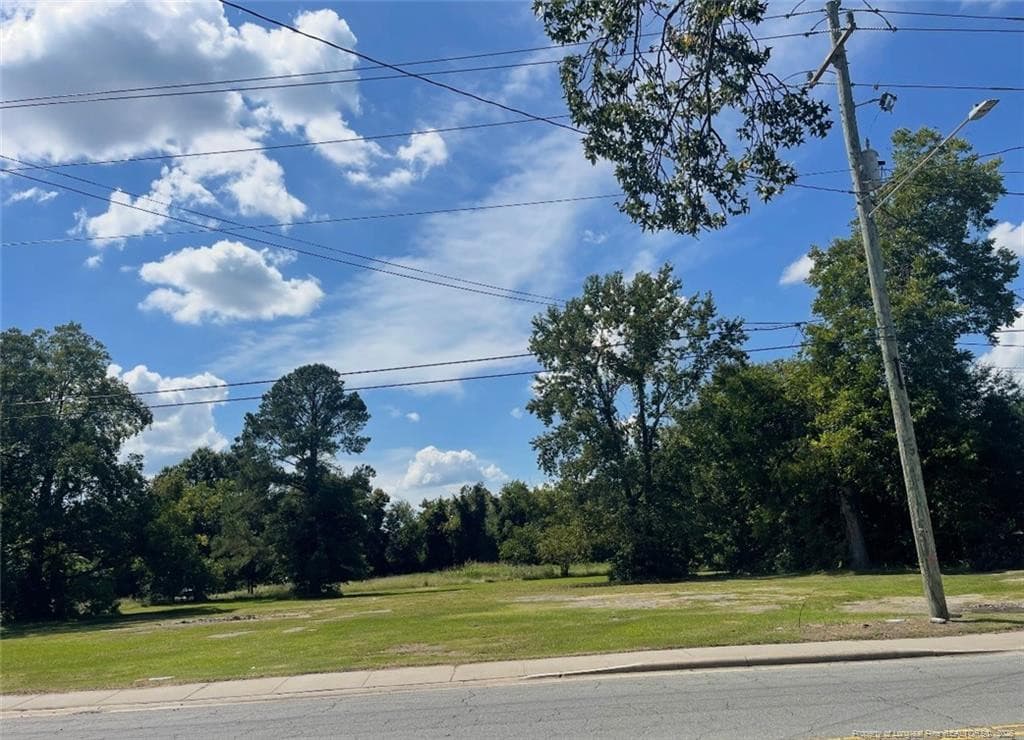 Photo 3 - 212 S Pine Street, Warsaw, NC 28398