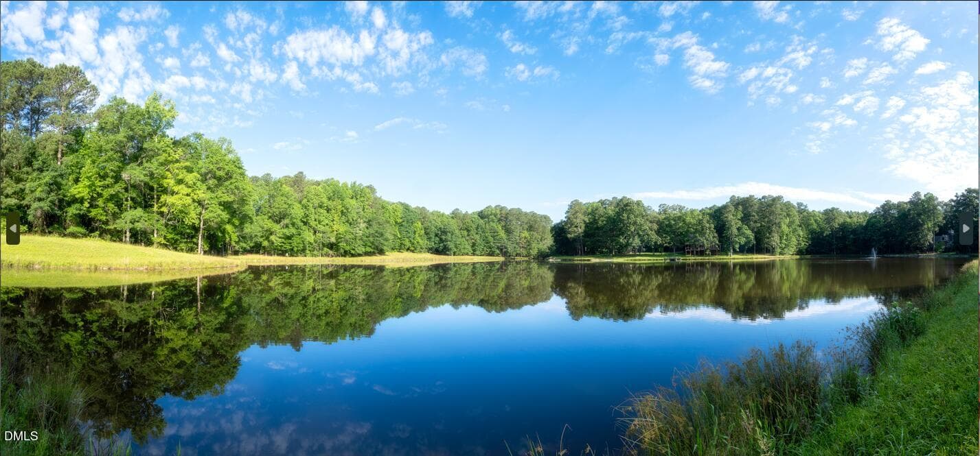 Landscape Photo 22 - 341 Spotted Turtle Trail, Wendell, NC 27591