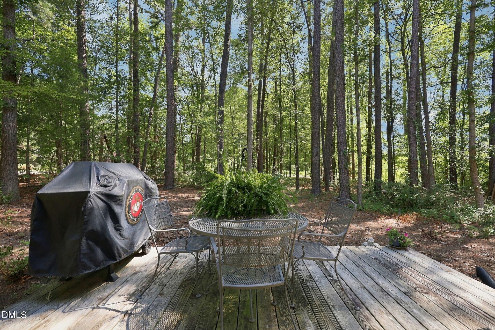 40-web-or-mls-IMG_7440 - 8424 Running Cedar Trail, Raleigh, NC 27615