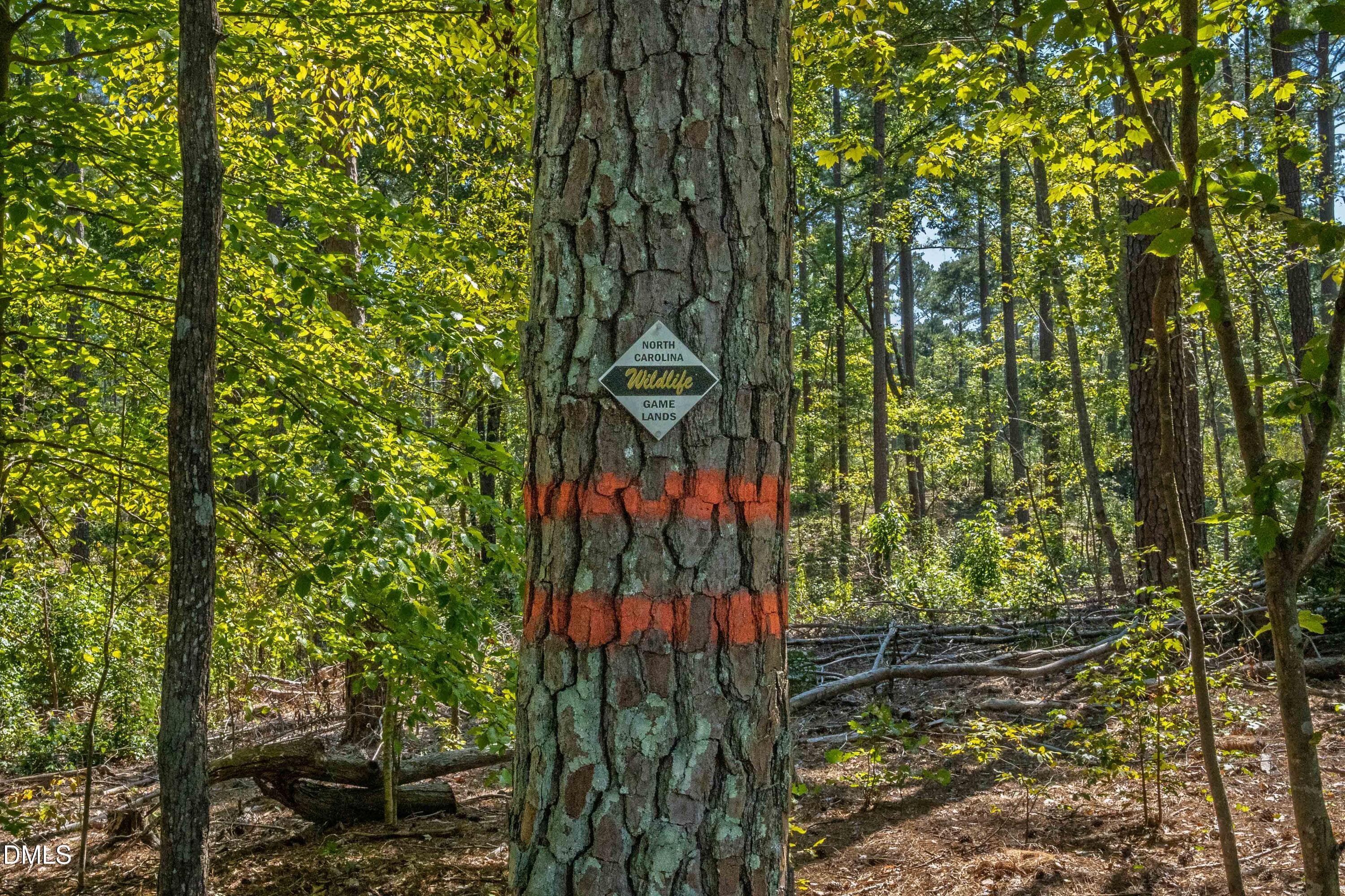 Wildlife-Game Land - 4508 Rogers Road, Durham, NC 27703, Durham