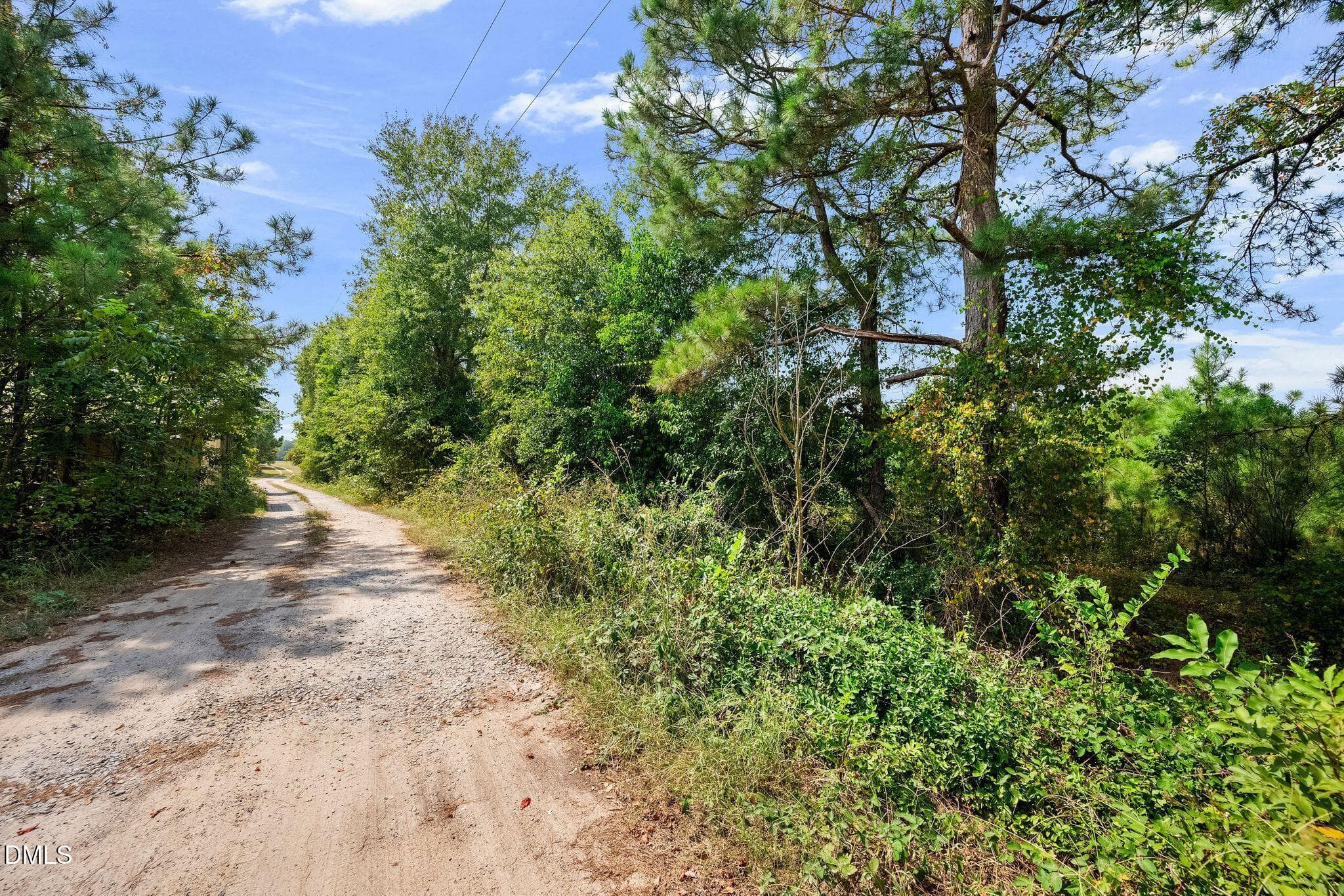 DSC_2354 - 3145 Erwin Chapel Road, Dunn, NC 28334, Dunn