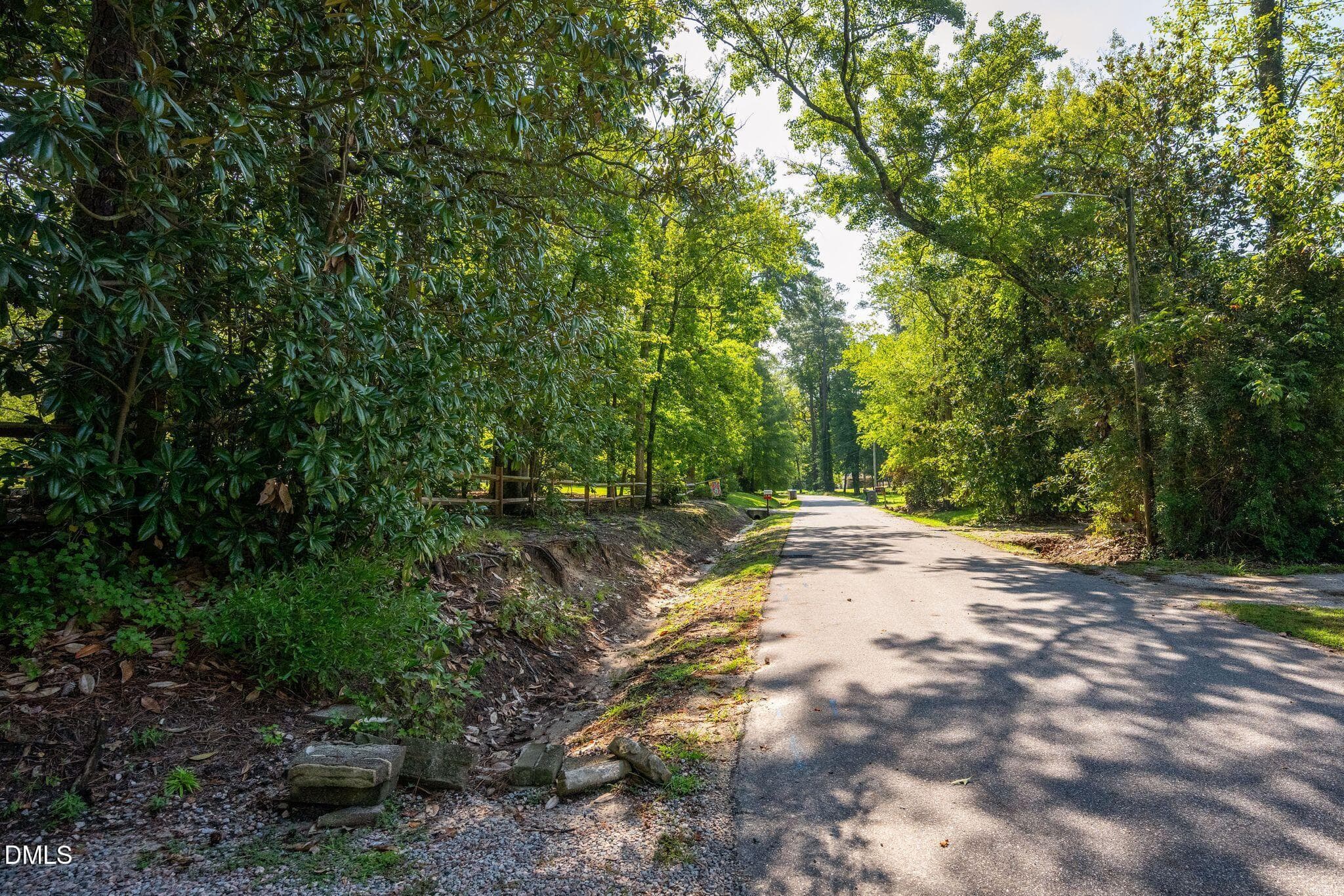 DSC_2374 - 18 Elizabeth Lane, Rocky Mount, NC 27804