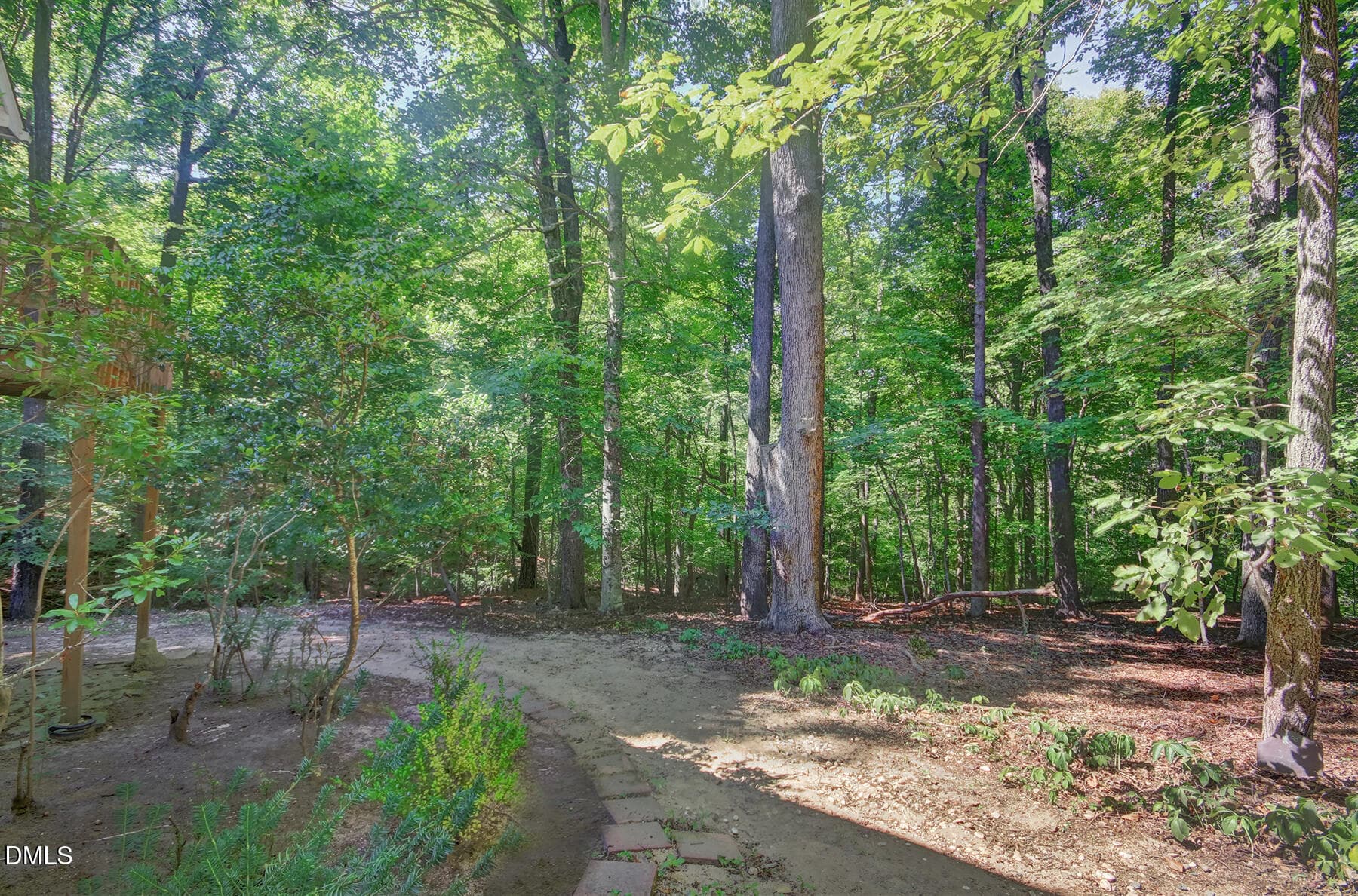 Side Path - 464 Beechmast, Pittsboro, NC 27312