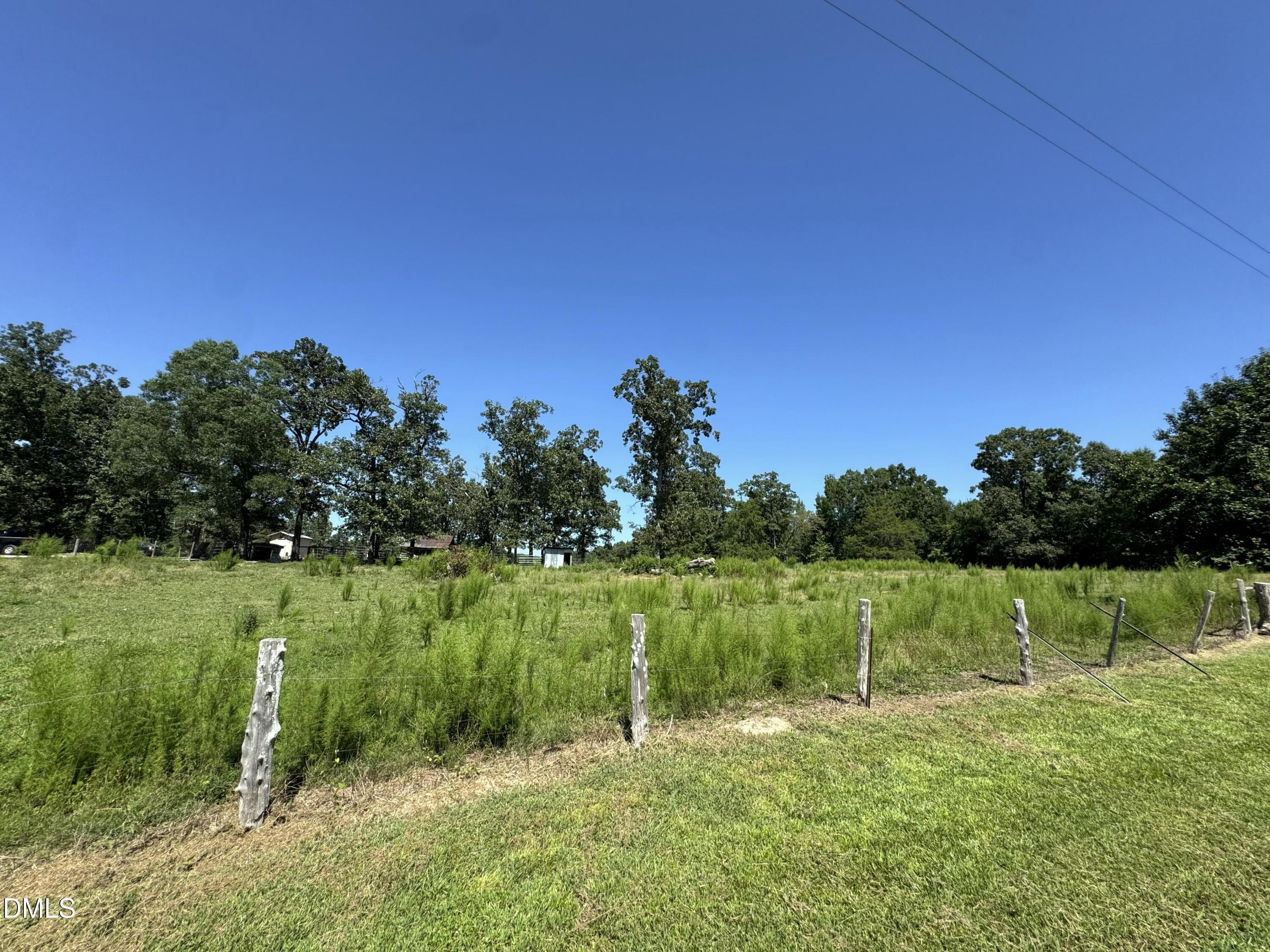 IMG_9908-1 - 1894 Glovers Church Road, Bennett, NC 27208