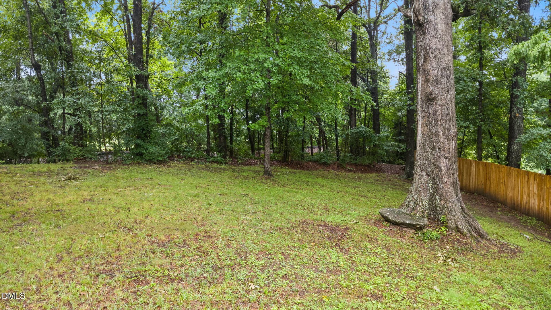Backyard - 1513 Solunar Court, Wake Forest, NC 27587