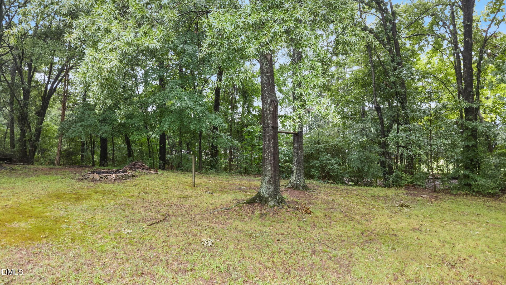 Backyard - 1513 Solunar Court, Wake Forest, NC 27587