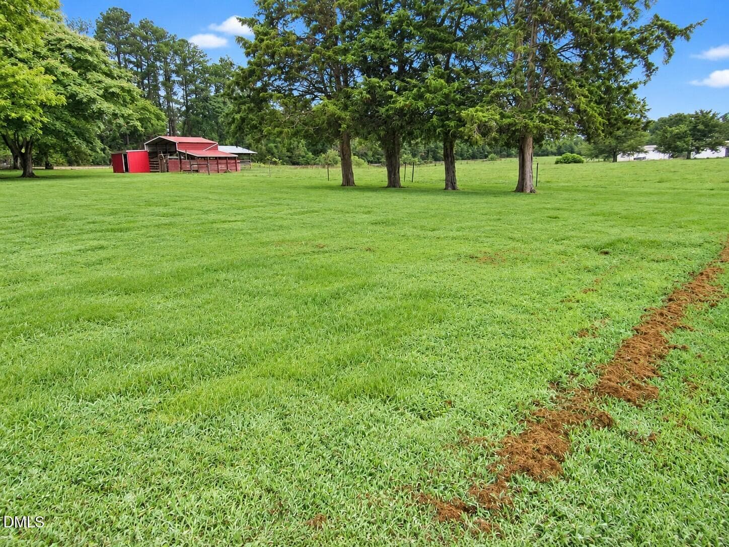 Backyard - 2635 W Lyon Station Road, Creedmoor, NC 27522, Creedmoor