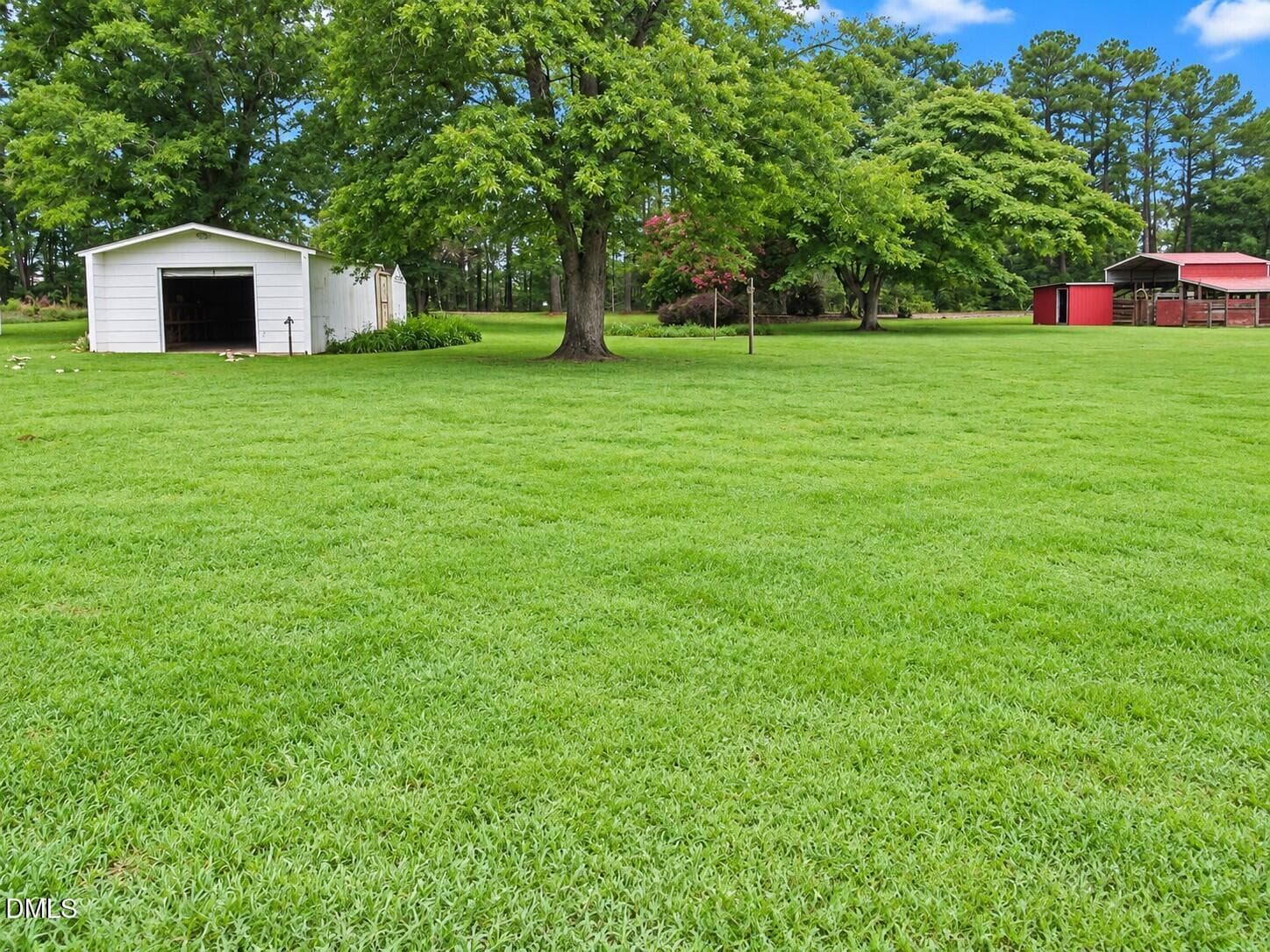Backyard - 2635 W Lyon Station Road, Creedmoor, NC 27522, Creedmoor