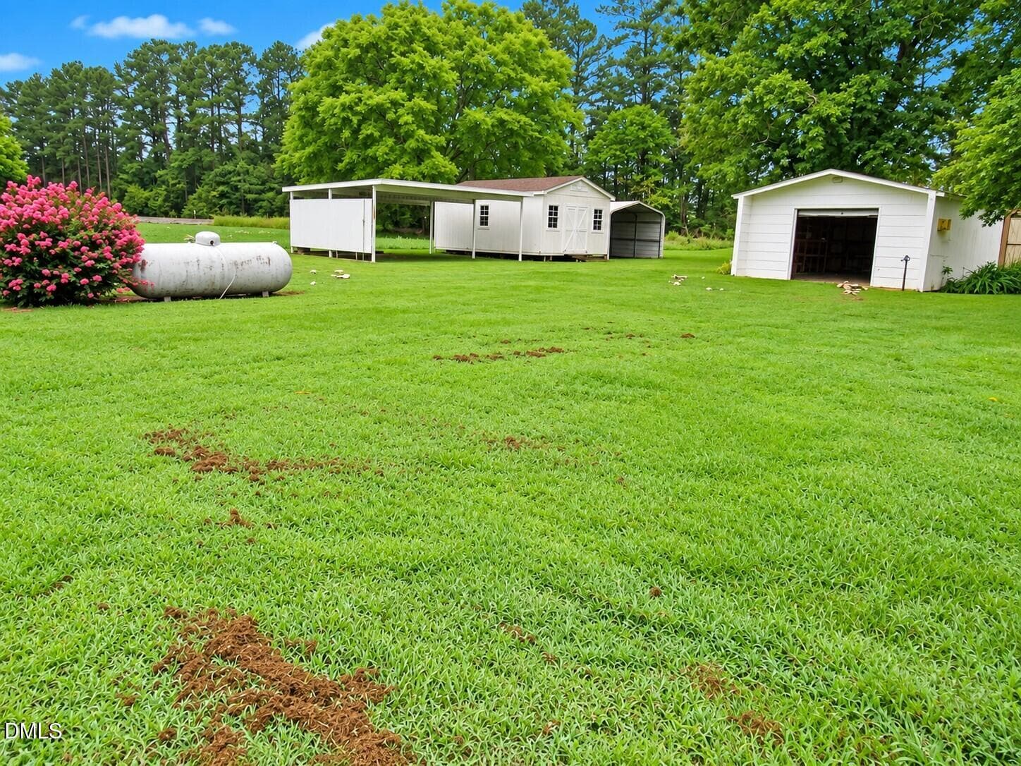 Backyard - 2635 W Lyon Station Road, Creedmoor, NC 27522, Creedmoor