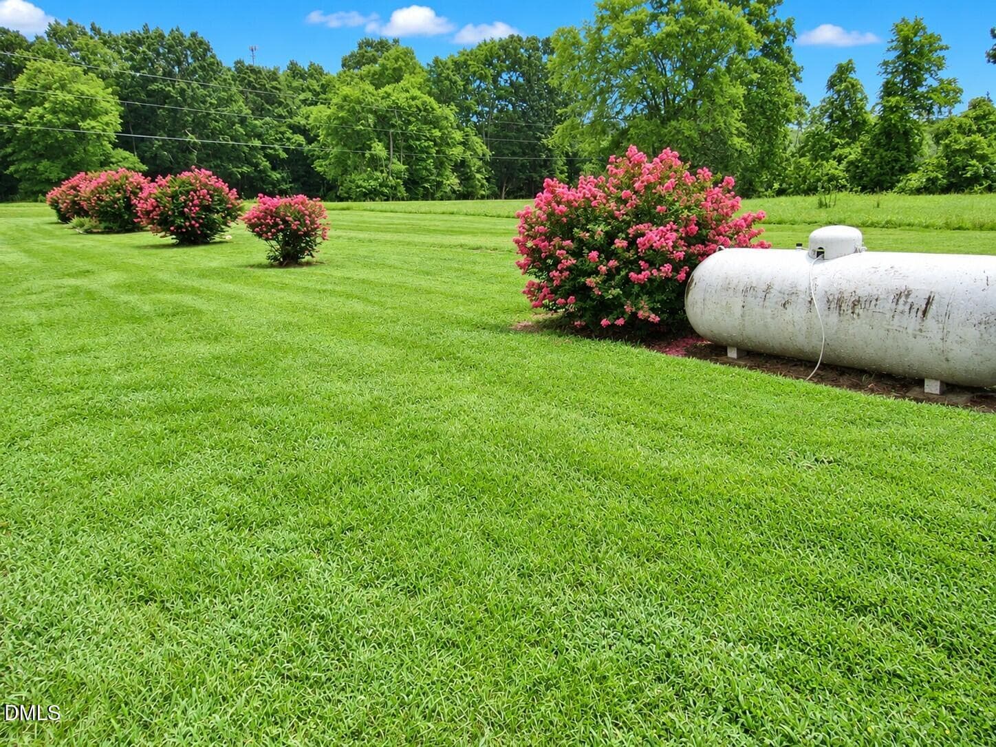 Backyard - 2635 W Lyon Station Road, Creedmoor, NC 27522, Creedmoor