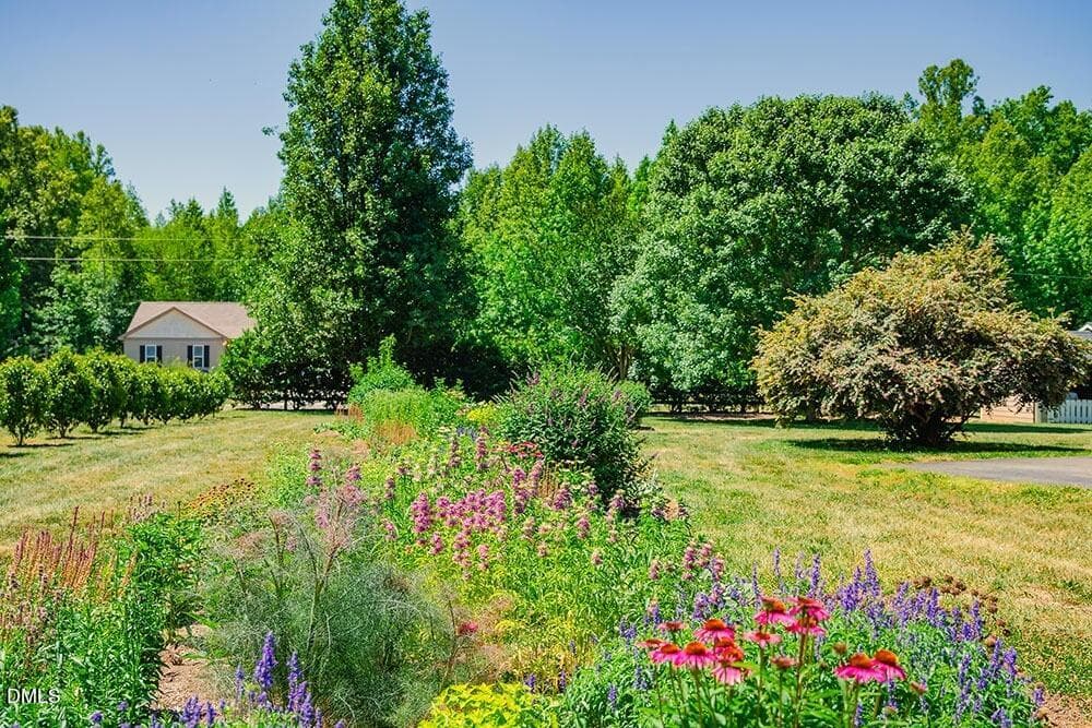 R50_copy - 62 Red Berry Holly Lane, Hurdle Mills, NC 27541