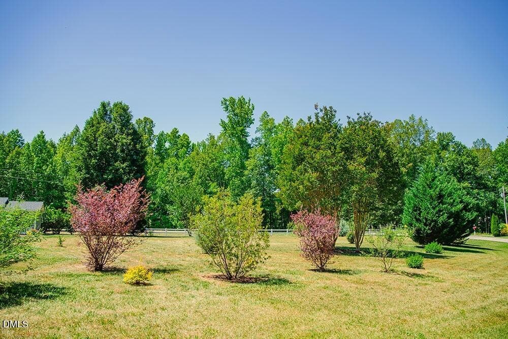 R47_copy - 62 Red Berry Holly Lane, Hurdle Mills, NC 27541