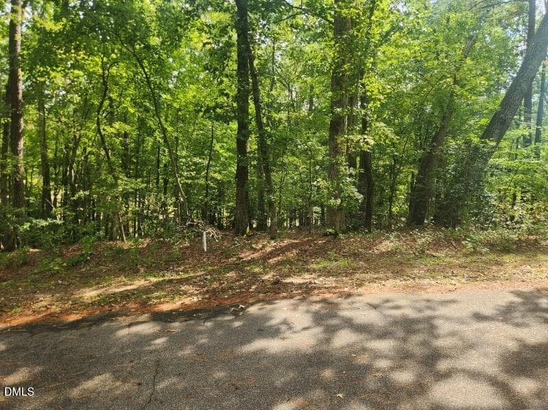 249 Sacred Fire Road, Louisburg, NC 27549
