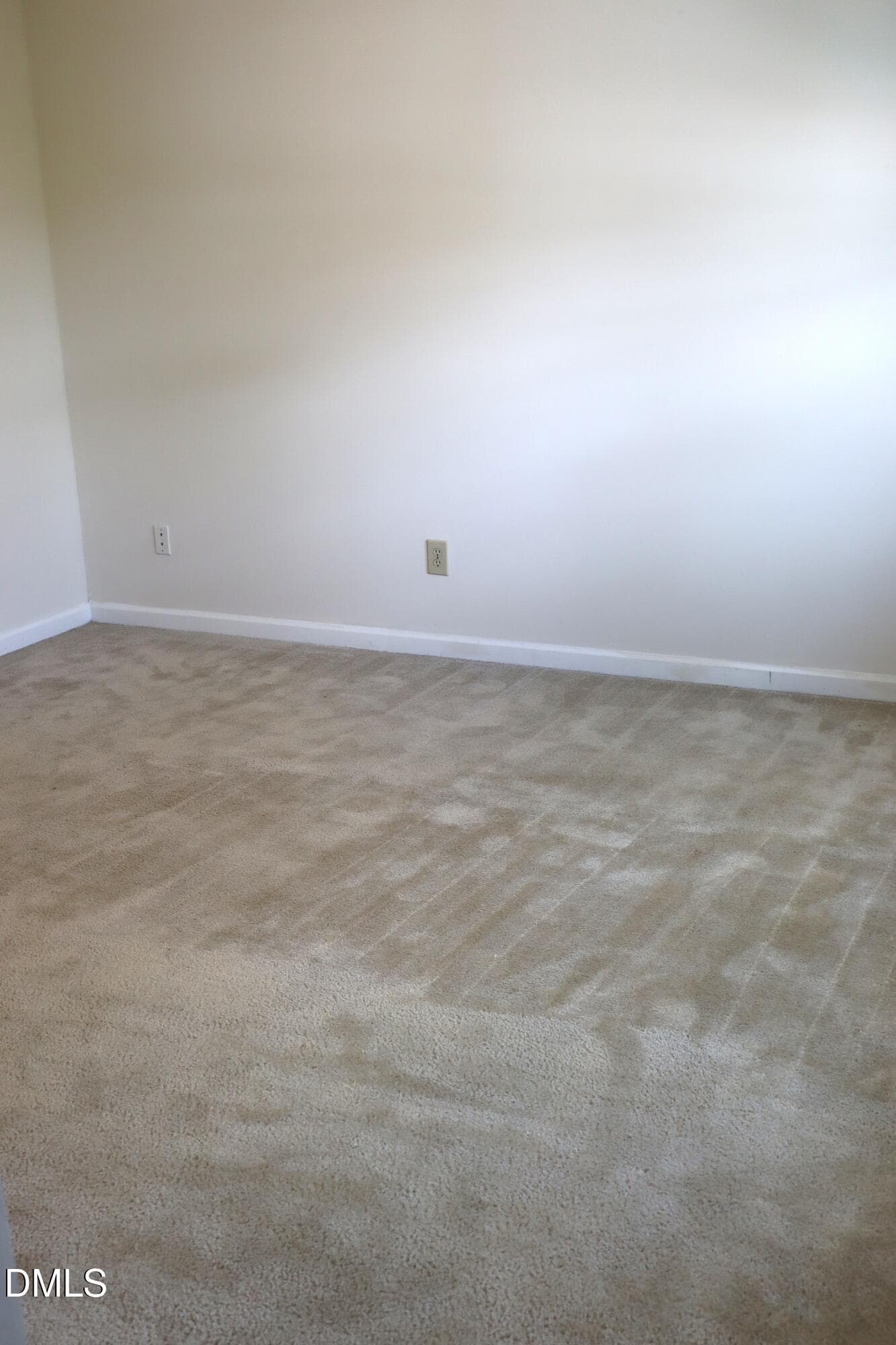 Primary - 507 Dowd Street, Durham, NC 27701