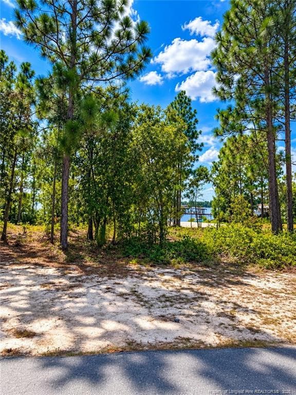 Lot image 2 - Lot#510 N Horsepen Road, Harrells, NC 28444