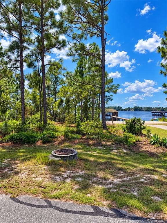 Lot image 5 - Lot#510 N Horsepen Road, Harrells, NC 28444