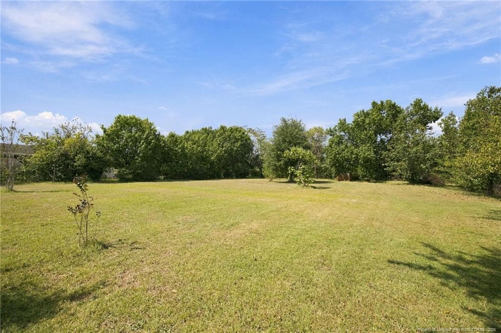 Photo 27 - 2376 S Robeson Road, Rowland, NC 28383