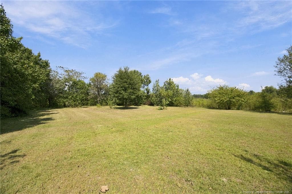 Photo 28 - 2376 S Robeson Road, Rowland, NC 28383
